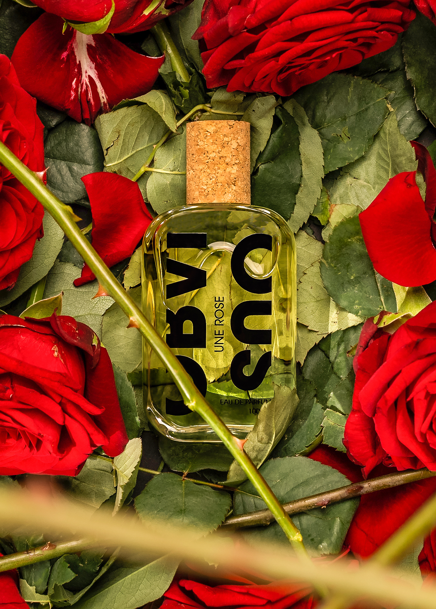 Nước hoa Obvious Une Rose – Hoa hồng mứt ngọt & sương sớm dịu dàng